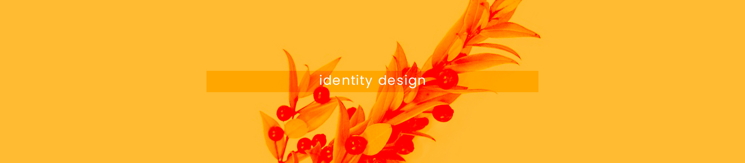 Davide Onida Identity Designer