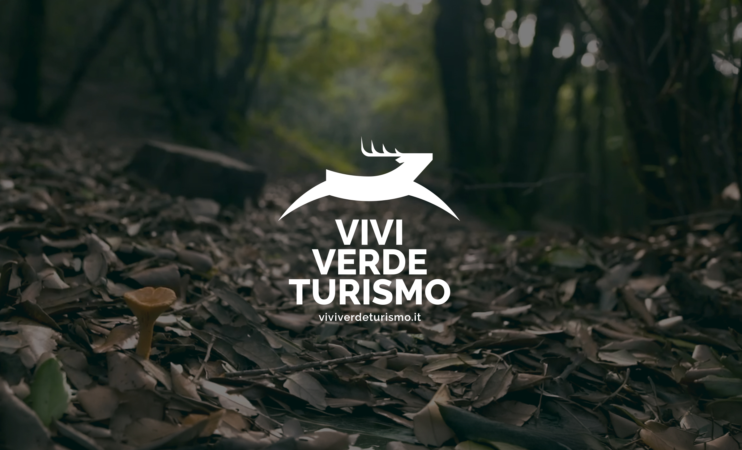 Davide Onida, Identity Designer case study